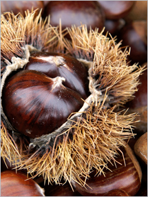 Nutrition label for Chestnuts